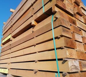 AVIVE RED CEDAR -min