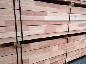 Carrelet Red grandis KKK abouté